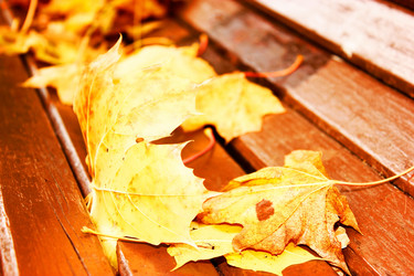 Similar image 5519970