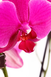 Similar image 5519982