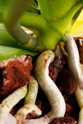 Similar image 5519983