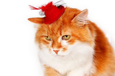 Similar image 5519984