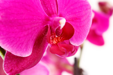 Similar image 5519989