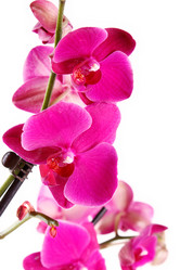 Similar image 5519998