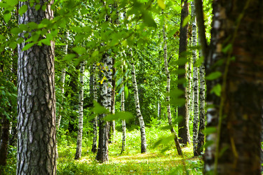 Similar image 5520019