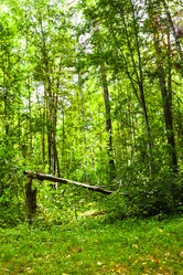 Similar image 5520036