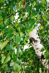 Similar image 5520038