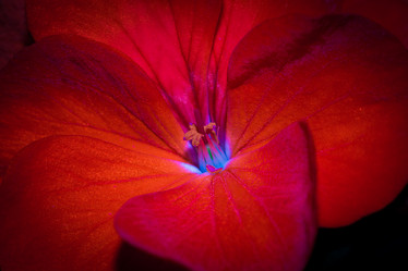 Similar image 5520132