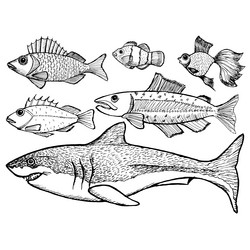 Similar image 5520220