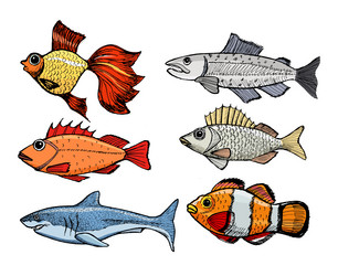 Similar image 5520237