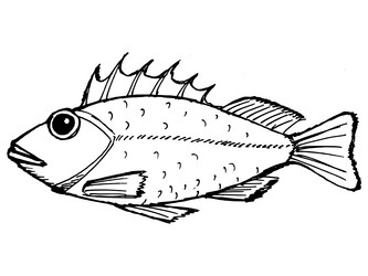 Similar image 5520264