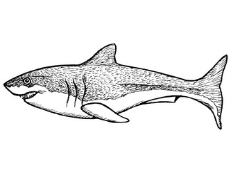 Similar image 5520265