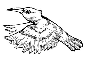 Similar image 5520272