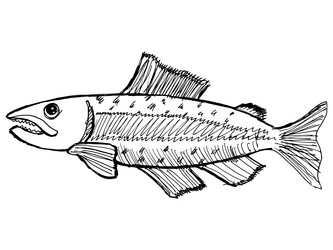 Similar image 5520273