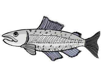 Similar image 5520301