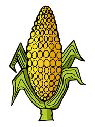 Similar image 5520446