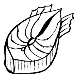 Similar image 5520462