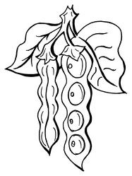 Similar image 5520465