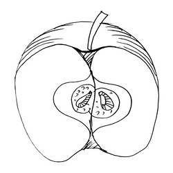 Similar image 5520480