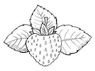 Similar image 5520519