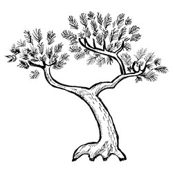 Similar image 5520538