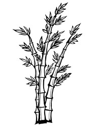 Similar image 5520539