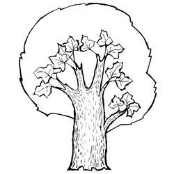 Similar image 5520552