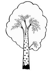 Similar image 5520556