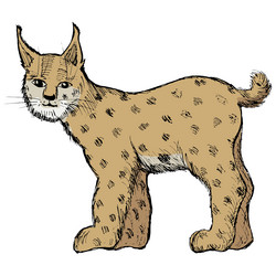 Similar image 5520557