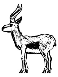 Similar image 5520591