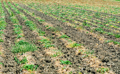 Similar image 5520993