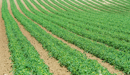 Similar image 5520998