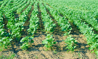 Similar image 5521029