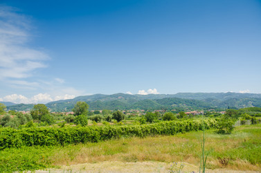 Similar image 5521043