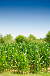 Similar image 5521096