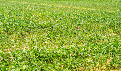 Similar image 5521100