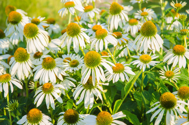 Similar image 5521139