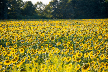 Similar image 5521322