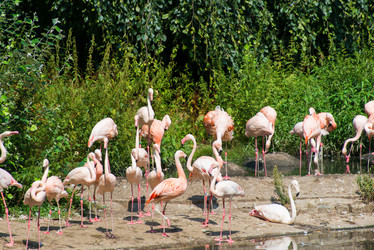 Similar image 5521368