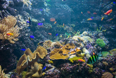 Similar image 5521387