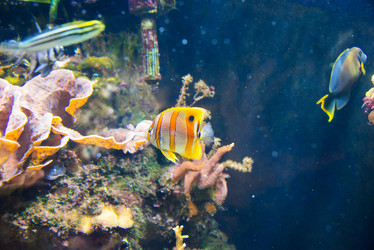 Similar image 5521390