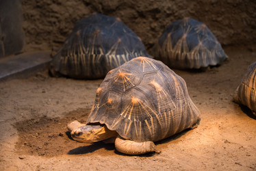 Similar image 5521400