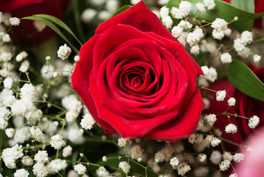 Similar image 5521424