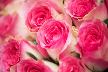 Similar image 5521425