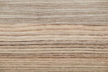 Similar image 5521441