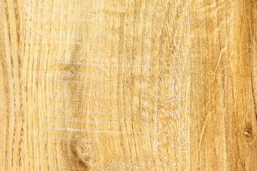 Similar image 5521446