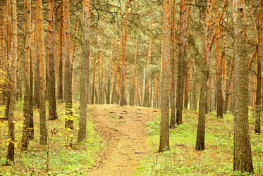 Similar image 5521502