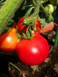 Similar image 5521529