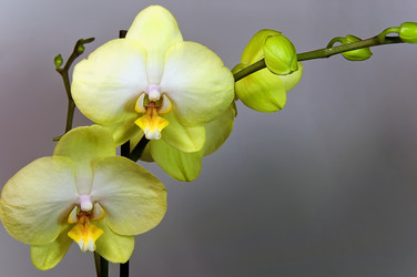 Similar image 5521559