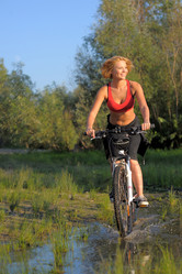 Similar image 5521593