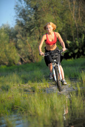 Similar image 5521594