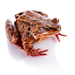 Similar image 5521613